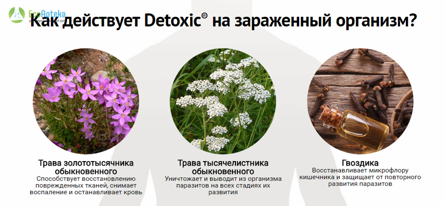 Детоксик от паразитов