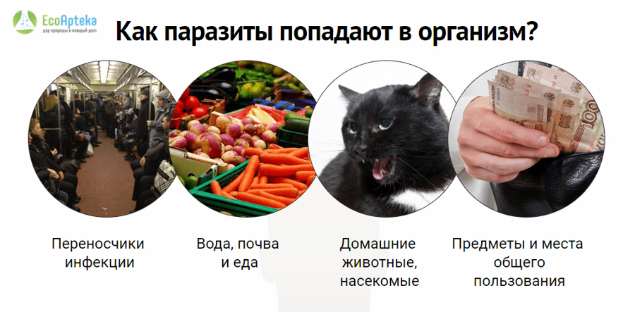 Детоксик в Уральске