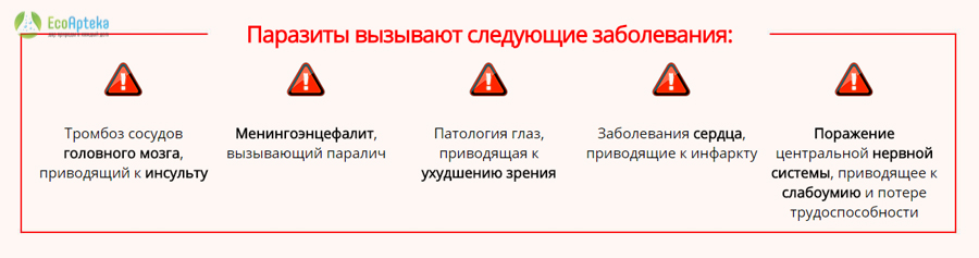 Купить Детоксик от паразитов