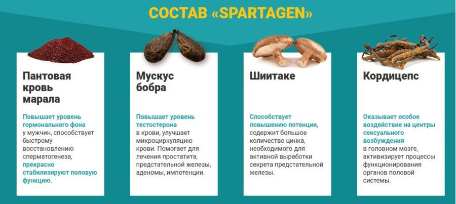Спартаген купить для потенции