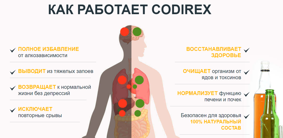 Codirex в Рудном