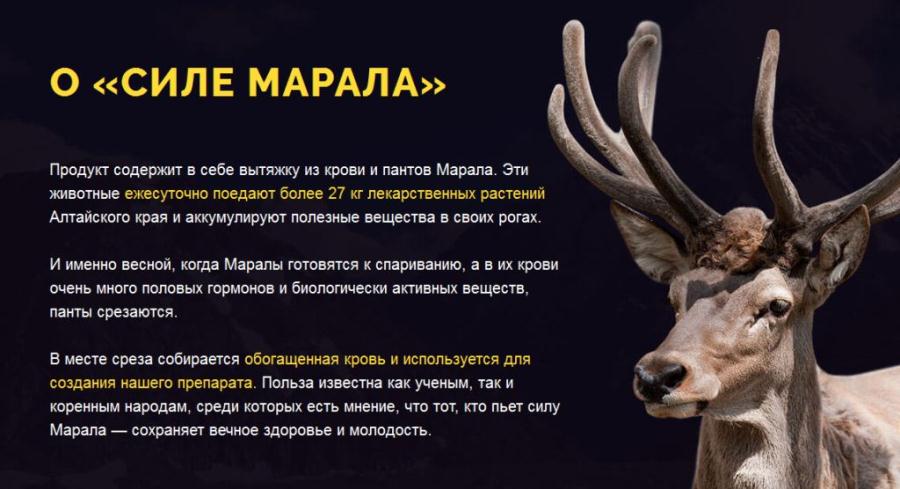 о Сале Марала о Сале Марала