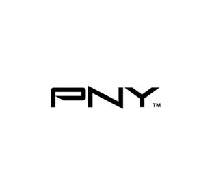 Логотип PNY